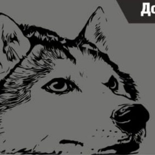 Логотип Телеграм канала . Бесплатная аналитика Telegram каналов