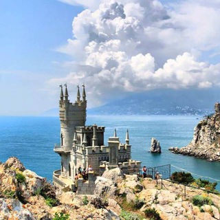 Telegram Channel logo +PBzCmfL5Tdg3MzQy. Free Telegram Channel Analytics