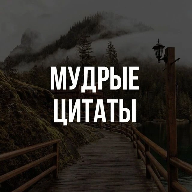 Логотип Телеграм канала biblioteka_111. Бесплатная аналитика Telegram каналов