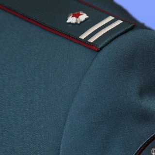 Логотип Телеграм канала gossluzba_bk. Бесплатная аналитика Telegram каналов