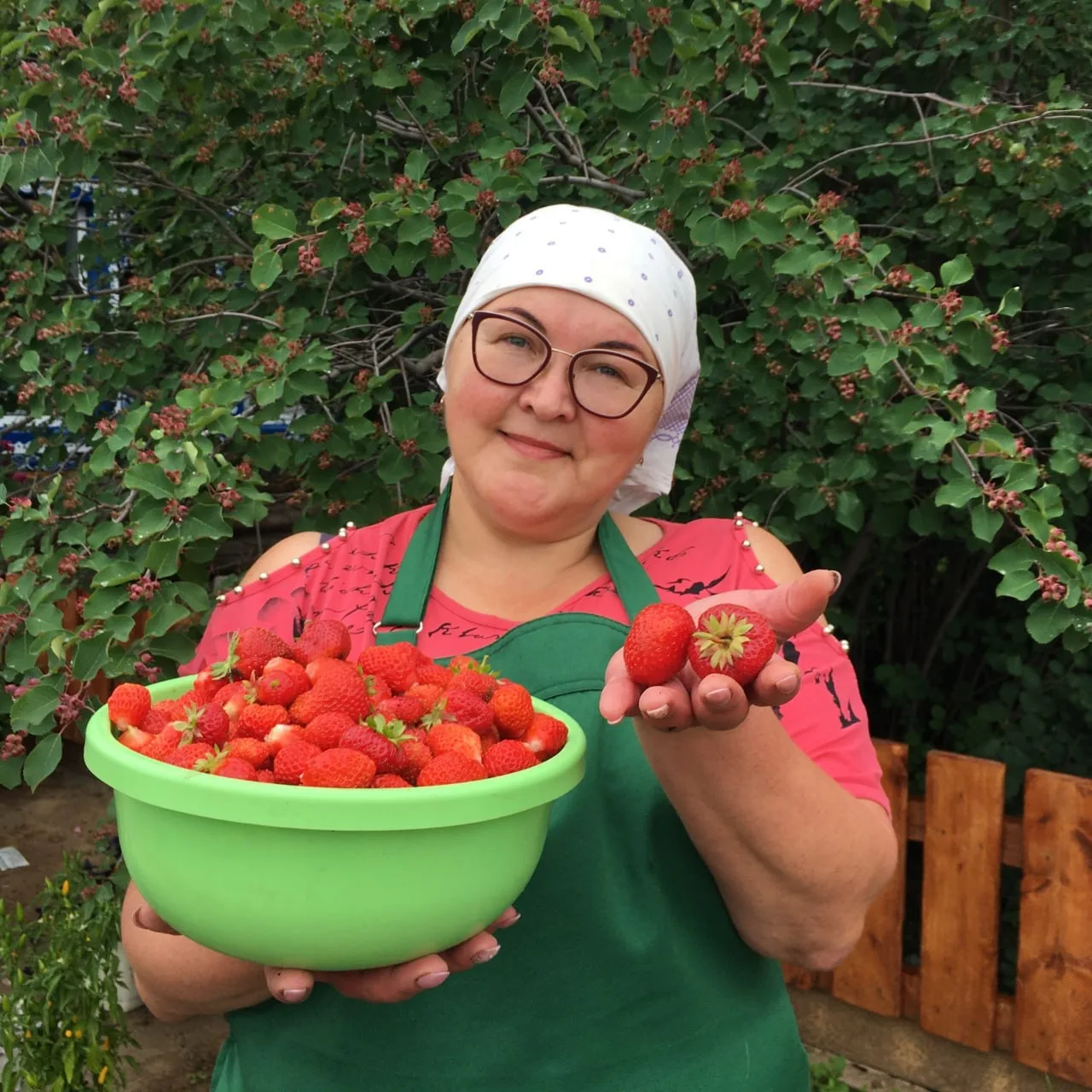 Telegram Channel logo sibirskiisad. Free Telegram Channel Analytics