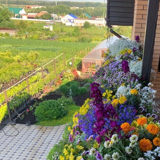 Логотип Телеграм канала tatpitomnik. Бесплатная аналитика Telegram каналов