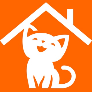 Telegram Channel logo vet_i_cats. Free Telegram Channel Analytics