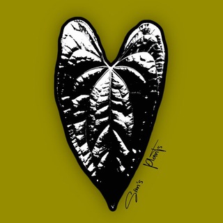 Логотип Телеграм канала . Бесплатная аналитика Telegram каналов