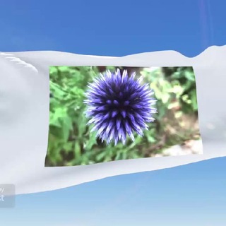 Telegram Channel logo Alles Ausser Mainstream. Free Telegram Channel Analytics