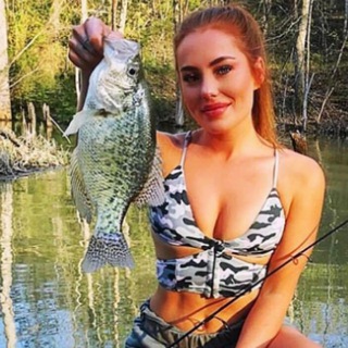 Telegram Channel logo +Nn50DM910ThmZWVi. Free Telegram Channel Analytics