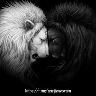 Telegram Channel logo . Free Telegram Channel Analytics