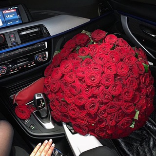 Telegram Channel logo gdomik0. Free Telegram Channel Analytics