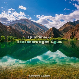 Логотип Телеграм канала . Бесплатная аналитика Telegram каналов