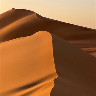 Логотип Телеграм канала . Бесплатная аналитика Telegram каналов