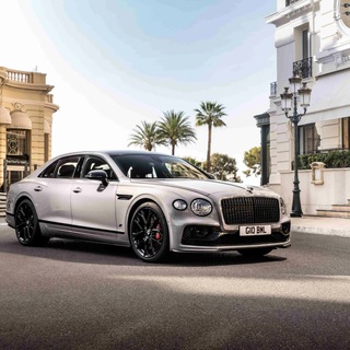 Telegram Channel logo +Lca0FJNJX6hlYTAy. Free Telegram Channel Analytics