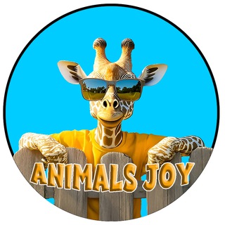 Telegram Channel logo AnimalsJoy. Free Telegram Channel Analytics