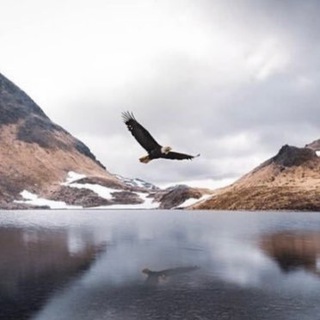 Telegram Channel logo An Amazing World. Free Telegram Channel Analytics