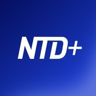 Telegram Channel logo . Free Telegram Channel Analytics