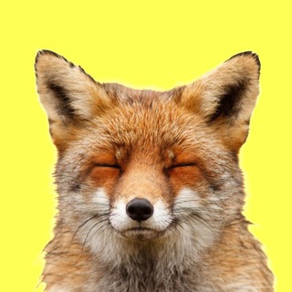 Логотип Телеграм канала . Бесплатная аналитика Telegram каналов