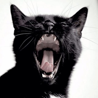 Логотип Телеграм канала . Бесплатная аналитика Telegram каналов