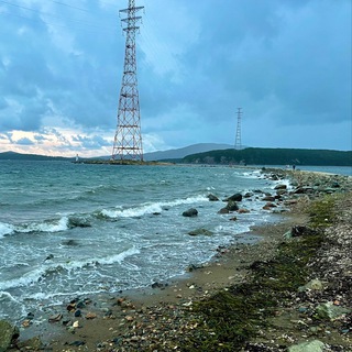 Логотип Телеграм канала egervl. Бесплатная аналитика Telegram каналов