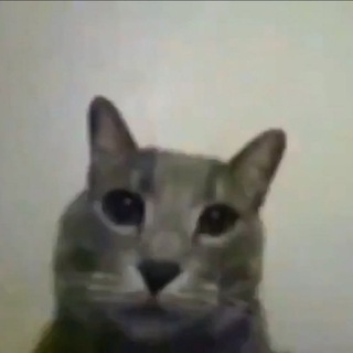 Логотип Телеграм канала curseddgbf. Бесплатная аналитика Telegram каналов