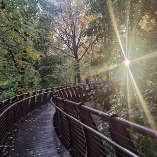 Telegram Channel logo afishamoskvy. Free Telegram Channel Analytics