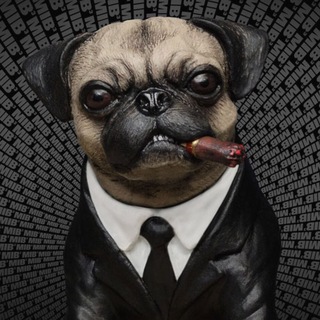 Логотип Телеграм канала pesetcetera. Бесплатная аналитика Telegram каналов