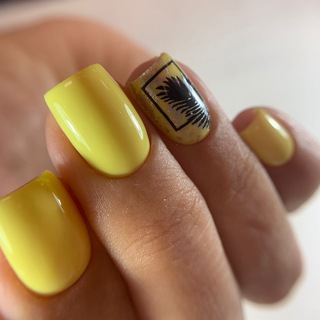 Логотип Телеграм канала krasopop. Бесплатная аналитика Telegram каналов