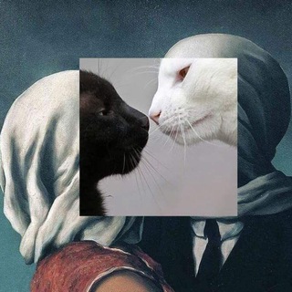 Telegram Channel logo Aesthetics 🌻. Free Telegram Channel Analytics