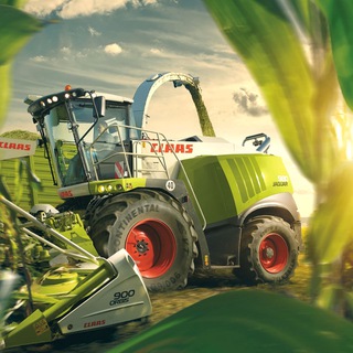 Telegram Channel logo +GTylifvA2GdkMmIy. Free Telegram Channel Analytics