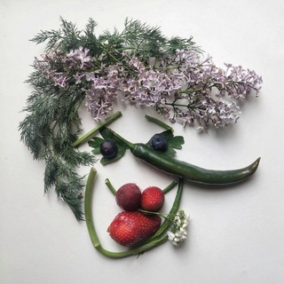 Telegram Channel logo vse_vsad. Free Telegram Channel Analytics