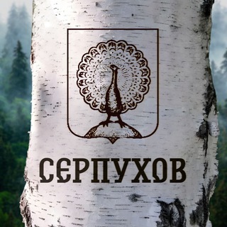 Логотип Телеграм канала +nYseN2VnFqM1M2My. Бесплатная аналитика Telegram каналов