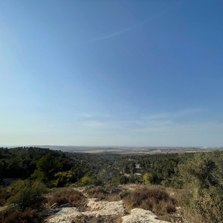 Логотип Телеграм канала . Бесплатная аналитика Telegram каналов