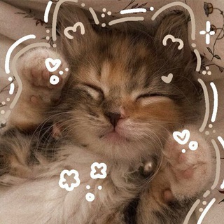 Telegram Channel logo esthedia. Free Telegram Channel Analytics