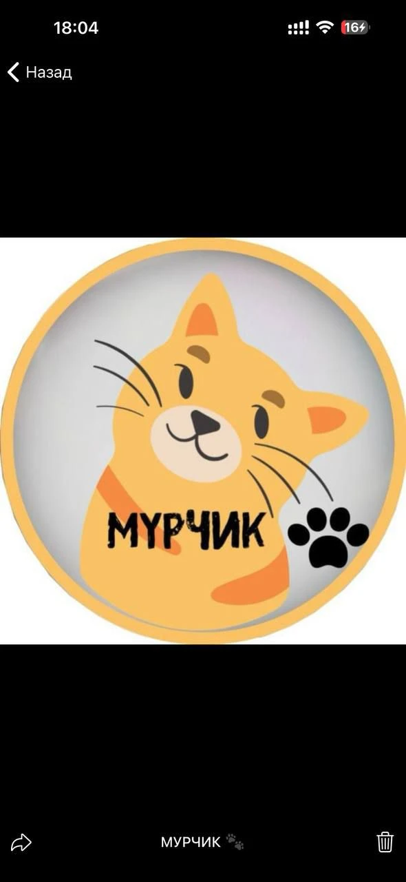 Логотип Телеграм канала myrchikcats. Бесплатная аналитика Telegram каналов