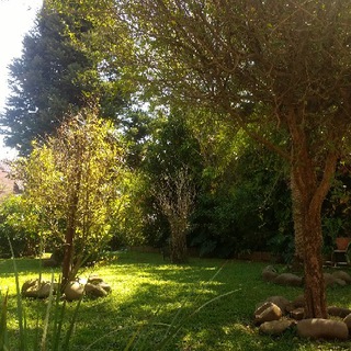 Telegram Channel logo 🌳 Nick's art gallery 🌳. Free Telegram Channel Analytics