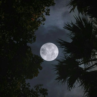 Логотип Телеграм канала IVA666DZ. Бесплатная аналитика Telegram каналов