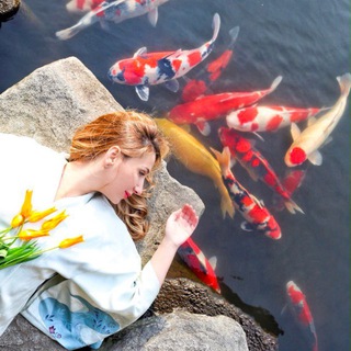 Логотип Телеграм канала na_tatami_jp. Бесплатная аналитика Telegram каналов