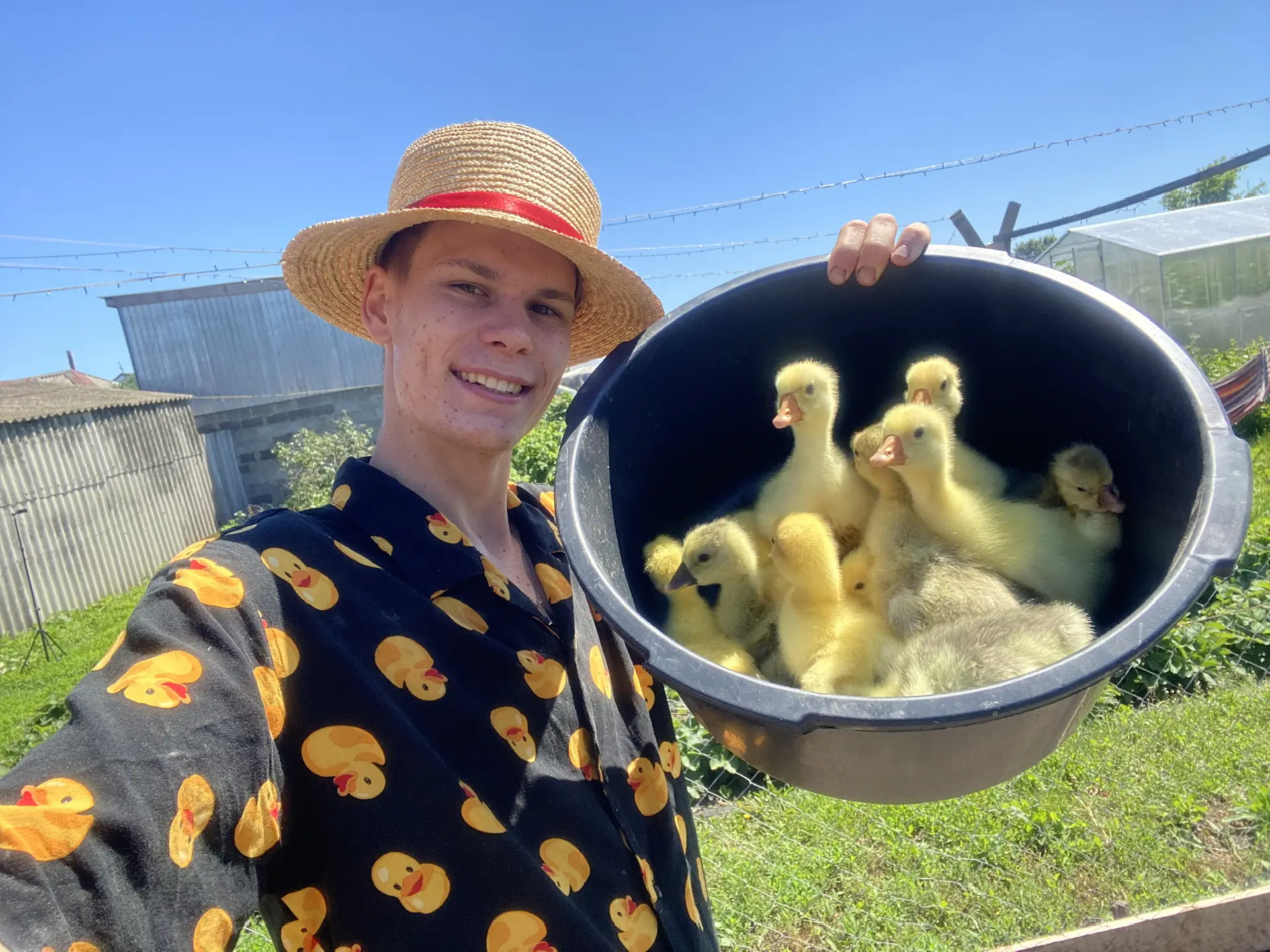 Telegram Channel logo molodoyfermer. Free Telegram Channel Analytics