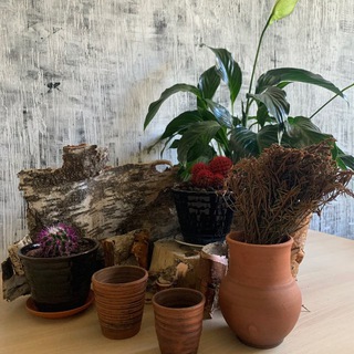 Логотип Телеграм канала . Бесплатная аналитика Telegram каналов