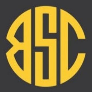 Telegram Channel logo 100x BSC Gems. Free Telegram Channel Analytics