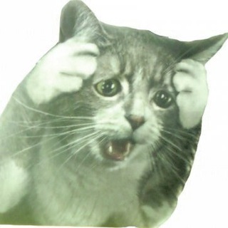 Логотип Телеграм канала Всратая живность. Бесплатная аналитика Telegram каналов