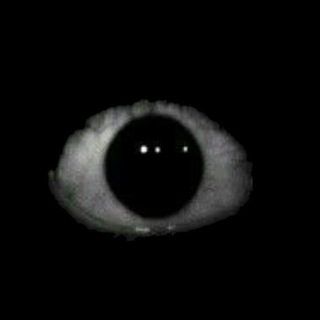 Логотип Телеграм канала +NMeQuvNYfw80MTRi. Бесплатная аналитика Telegram каналов