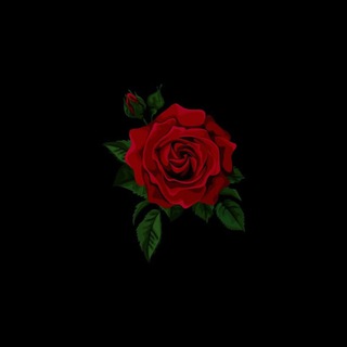 Логотип Телеграм канала loveromanceeee. Бесплатная аналитика Telegram каналов