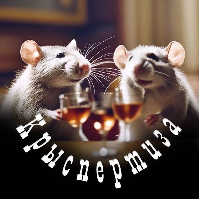 Логотип Телеграм канала gossipsinthecity. Бесплатная аналитика Telegram каналов