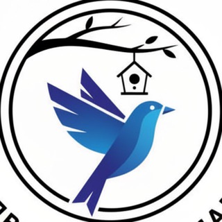 Telegram Channel logo +8yXPn8X7v10xNWIy. Free Telegram Channel Analytics