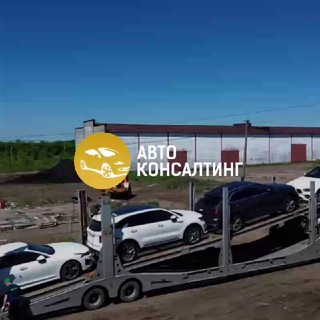 Логотип Телеграм канала . Бесплатная аналитика Telegram каналов