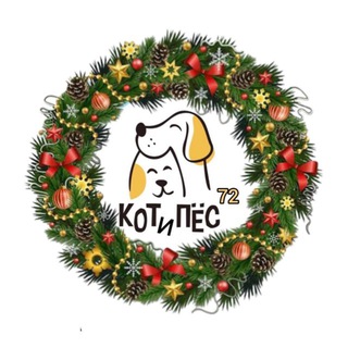 Telegram Channel logo kotopes72tymen. Free Telegram Channel Analytics