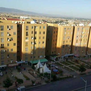 Telegram Channel logo condoaddis. Free Telegram Channel Analytics