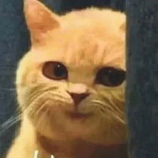 Логотип Телеграм канала xchan. Бесплатная аналитика Telegram каналов