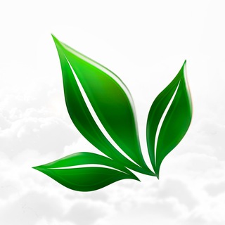 Логотип Телеграм канала 📍APL GO official. Бесплатная аналитика Telegram каналов