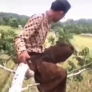 Логотип Телеграм канала videomemes333. Бесплатная аналитика Telegram каналов