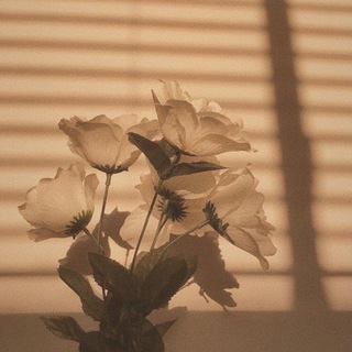 Логотип Телеграм канала draft.. Бесплатная аналитика Telegram каналов